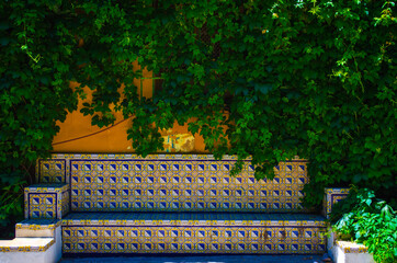 bench in the garden