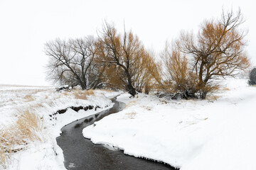 Wall Mural - Winter Landscape in the Palouse, WA