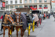 Pferdekutsche in Wien, Fiaker, Kutsche, Pferde, Lohnkutsche