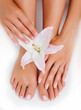 © iordani - manicure pedicure with flower lily closeup isolated on white perfect shape hands spa salon