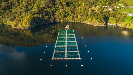 Wall Mural - Salmon fish farm. Bergen, Norway.