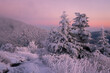 A winter landscape during sunset along the Appalachian Trail