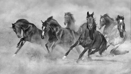 Wall Mural - herd of horses in the desert