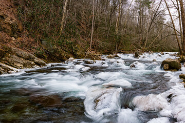 river in the forest