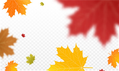 Wall Mural - autumn falling leaves background vector template.