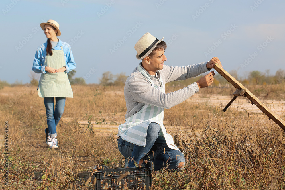Workers taking care of snails at the farm