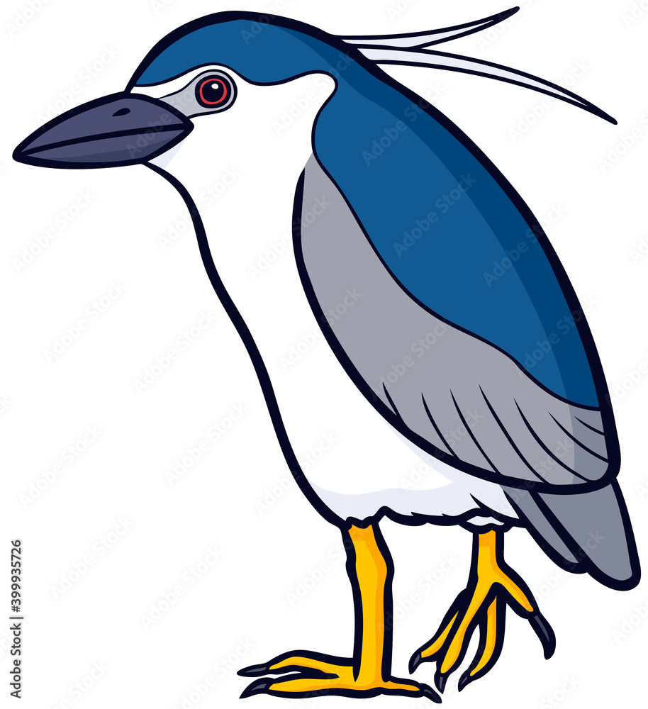 リアルめな横向きのゴイサギのイラスト Wall Mural Wallpaper Murals So Terada