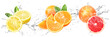 Fresh Fruits with water splash on isolated white background | Lemon, Orange and Grapefruit