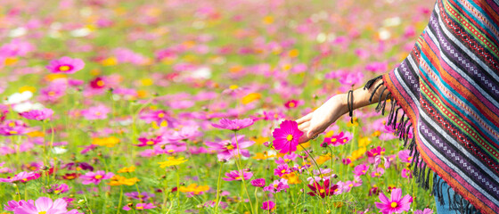 traveler women hand touch cosmos flower, freedom and relax in the flower farm, meadow nature backgro