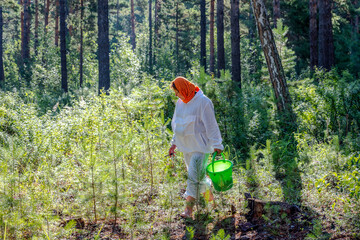 A woman in a white suit picks mushrooms in a sunny forest