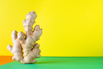 ginger root raw fresh spice ready to eat on the table healthy ingredient top view copy space for text food background