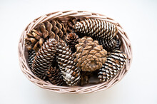 Pine Cones In A Wicker Basket On A White Background