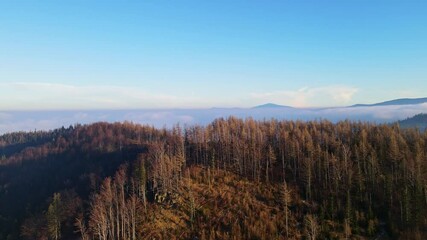 Poster - Aerial footage of Beskidy Mountains with Babia Góra on horizon.