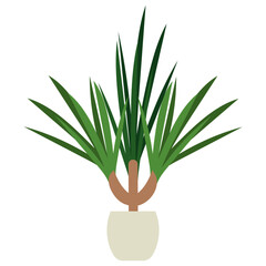 Sticker - Dracaena Marginata Plant 