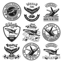 Whale Emblems Set. Monochrome Design Elements With Whale Tails In Ocean And Text. Nature Or Wildlife Concept For Travel Agency Stamp, Label, Sign Templates