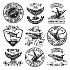 Wall Mural - Whale emblems set. Monochrome design elements with whale tails in ocean and text. Nature or wildlife concept for travel agency stamp, label, sign templates