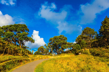 Canvas Print - The road along the ocean coast