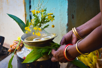 Traditional homemade Thai Pongal festival celebration harvest dedicated farmer celebration cooking colorful rangoli bronze pot wood fire wood stove wallpaper