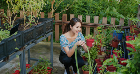 Poster - Woman shop at flower shop