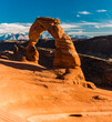 © Billy McDonald - Delicate Arch With Snow Capped La Sal Mountains in The Distance, Arches national Park, Utah, USA