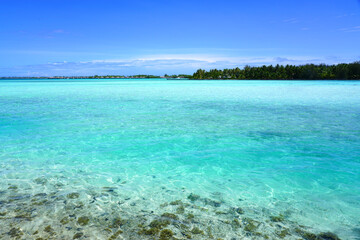 Wall Mural - View of a tropical landscape with palm trees, white sand and the turquoise lagoon water in Bora Bora, French Polynesia, South Pacific