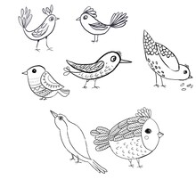 A Set Of Birds In The Style Of A Doodle. Illustration On A White Background.