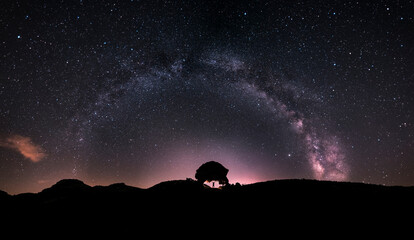 Wall Mural - The silhouette of a man at night holding a Neolithic stone arch, observing the stars and the Milky Way. An ancient neolithic dolmen on a summer night, night of stars and the arch of the milky way. 