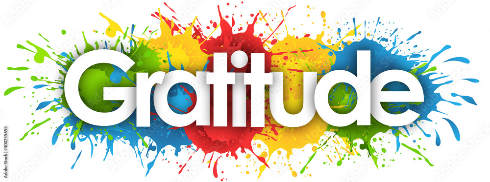 gratitude in splash’s background