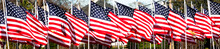 Horizontal View Of American Flags