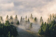 © Roman Kharlamov/Tetra Images - Ukraine, Zakarpattia region, Rakhiv district, Carpathians, Chornohora, Fog over forest on mountain Petros