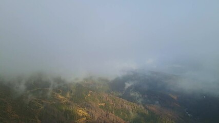 Poster - Aerial footage of Beskidy Mountains in clouds, view from Malinowska Skała at Dolina Zimnika and Skrzyczne.