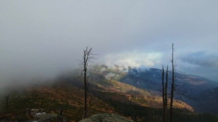 Poster - Aerial footage of Beskidy Mountains in clouds, view from Malinowska Skała at Dolina Zimnika and Skrzyczne.