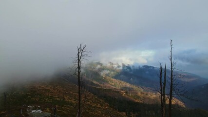 Poster - Aerial footage of Beskidy Mountains in clouds, view from Malinowska Skała at Dolina Zimnika and Skrzyczne.
