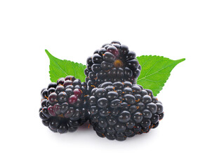 Wall Mural - Ripe blackberry isolated on white background with clipping path