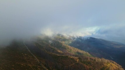 Poster - Aerial footage of Beskidy Mountains in clouds, view from Malinowska Skała at Dolina Zimnika and Skrzyczne.