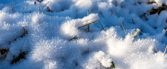 Panorama of grass on ground covered with fresh snow and ice crystals illuminated from side by sun in winter as natural background