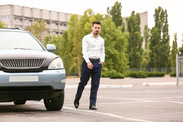 Canvas Print - Handsome man near modern car