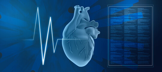 Wall Mural - 3d illustration  Anatomy of Human Heart 
