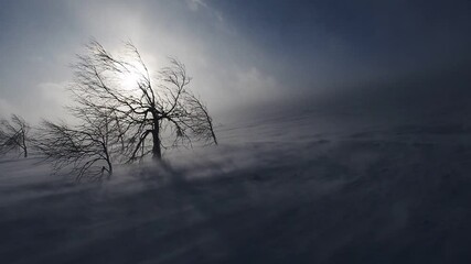 snow storm in mountains, epic strong wind in polar region in winter, arctic weather. blowing wind and powder snow. beautiful nature background, strong wind, ecology