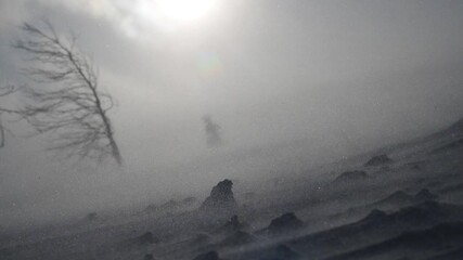 snow storm in mountains, epic strong wind in polar region in winter, arctic weather. blowing wind and powder snow. beautiful nature background, strong wind, ecology