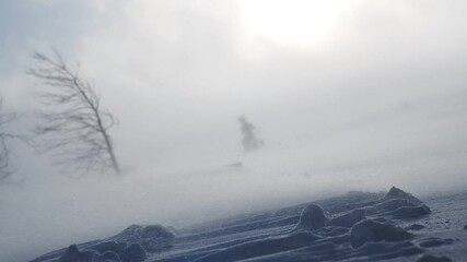 snow storm in mountains, epic strong wind in polar region in winter, arctic weather. blowing wind and powder snow, wintertime. winter forest, strong wind, ecology, snow winter