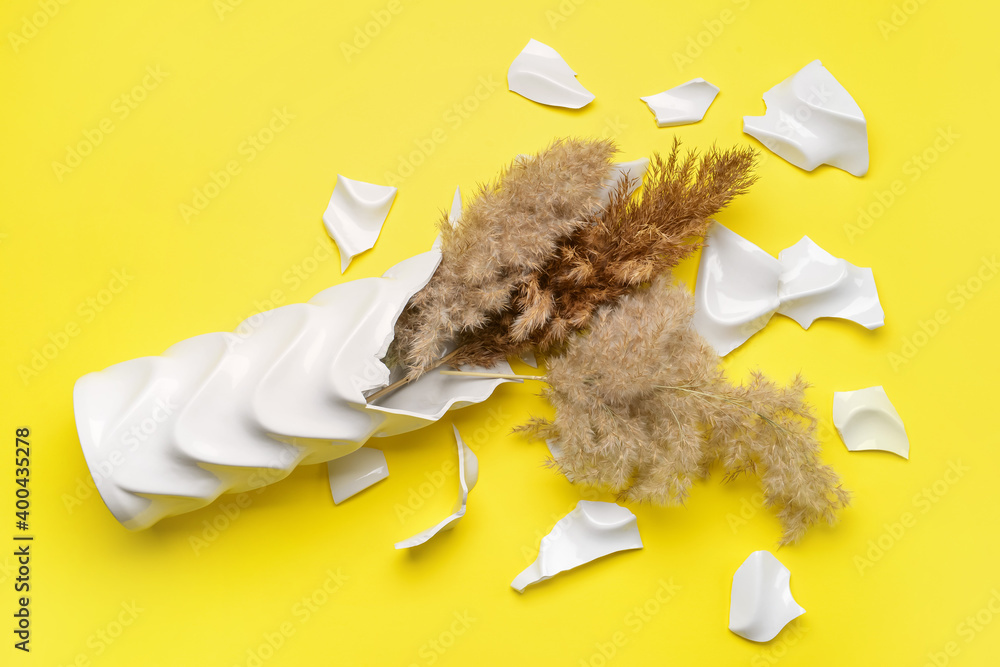 Broken vase with reed on color background