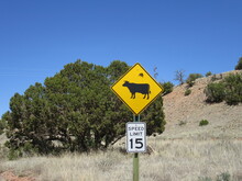 Cow And UFO Sign In Northern New Mexico