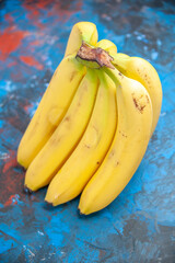 Vertical view of two bunches of fresh natural cavendish bananas on isolated blue background