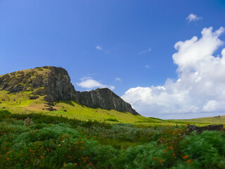 Wall Mural - nature of Easter Island, landscape, vegetation and coast.