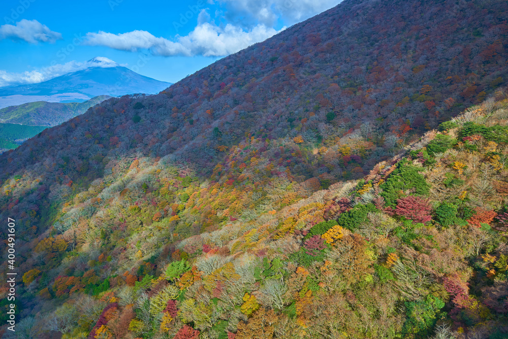 神奈川県箱根町の秋の箱根駒ヶ岳ロープウェイから紅葉と富士山方面を見る Las Plakaty Ecowall24 Pl
