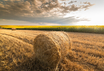 Stubble field and hay bales