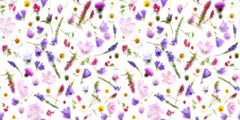 Wall Mural - Flowers  flat lay. Seamless pattern from plants, wild flowers isolated on white background, top view. The concept of summer, spring, Mother's Day, March 8. 