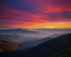 Wall Mural - attractive evening landscape illuminated by the sunset. carpathian mountains, ukraine, europe.