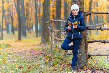 a girl posing near wooden fence and enjoys autumn in city park, beautiful nature with yellow leaves